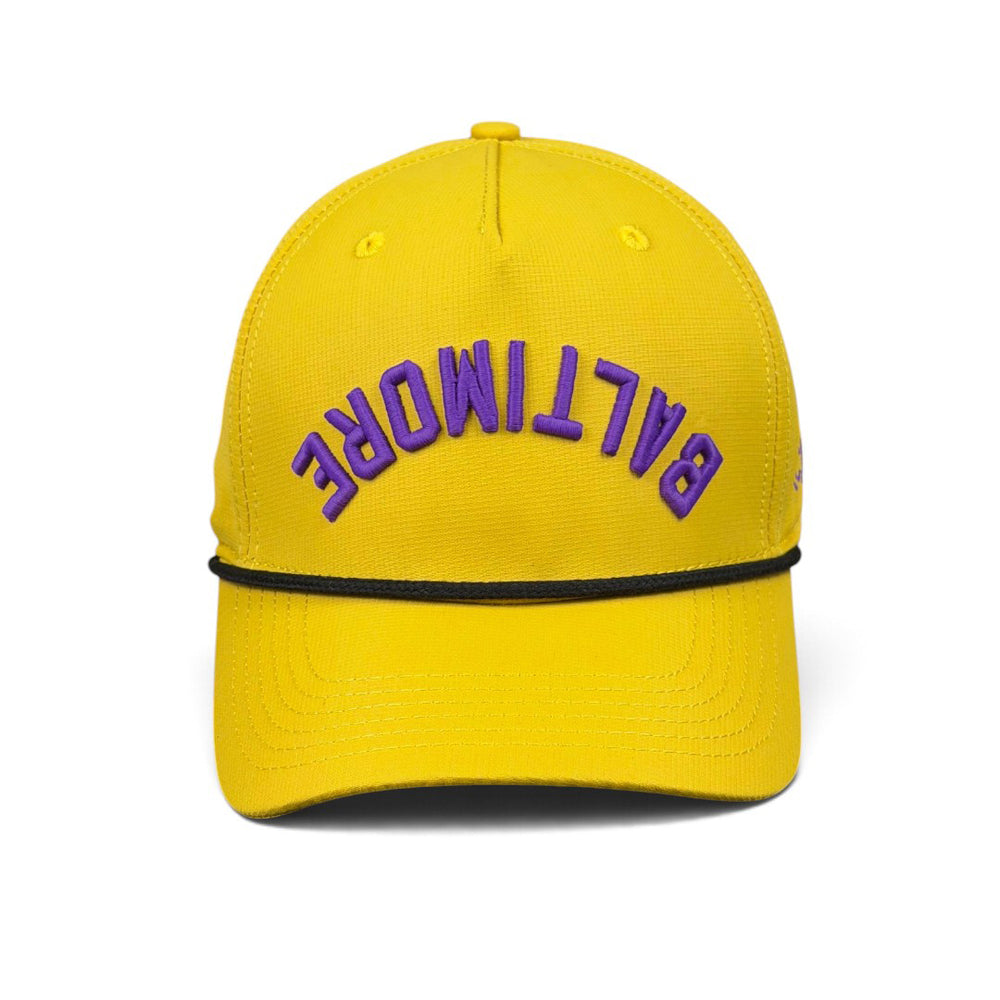 The BALTIMORE Customizer
