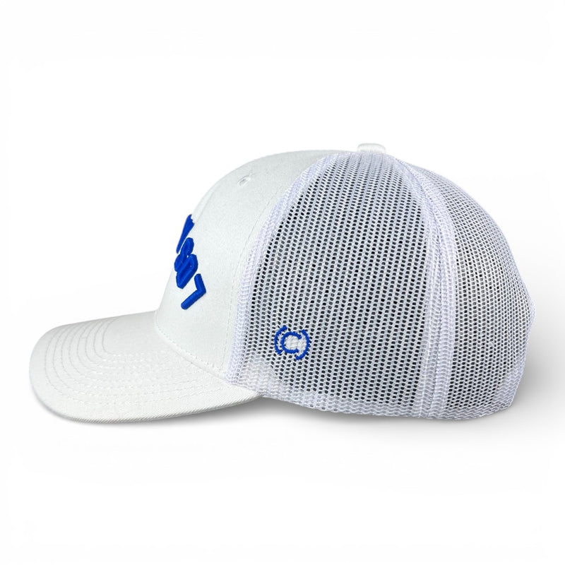LOS ANGELES - Upside Down White Trucker Hat