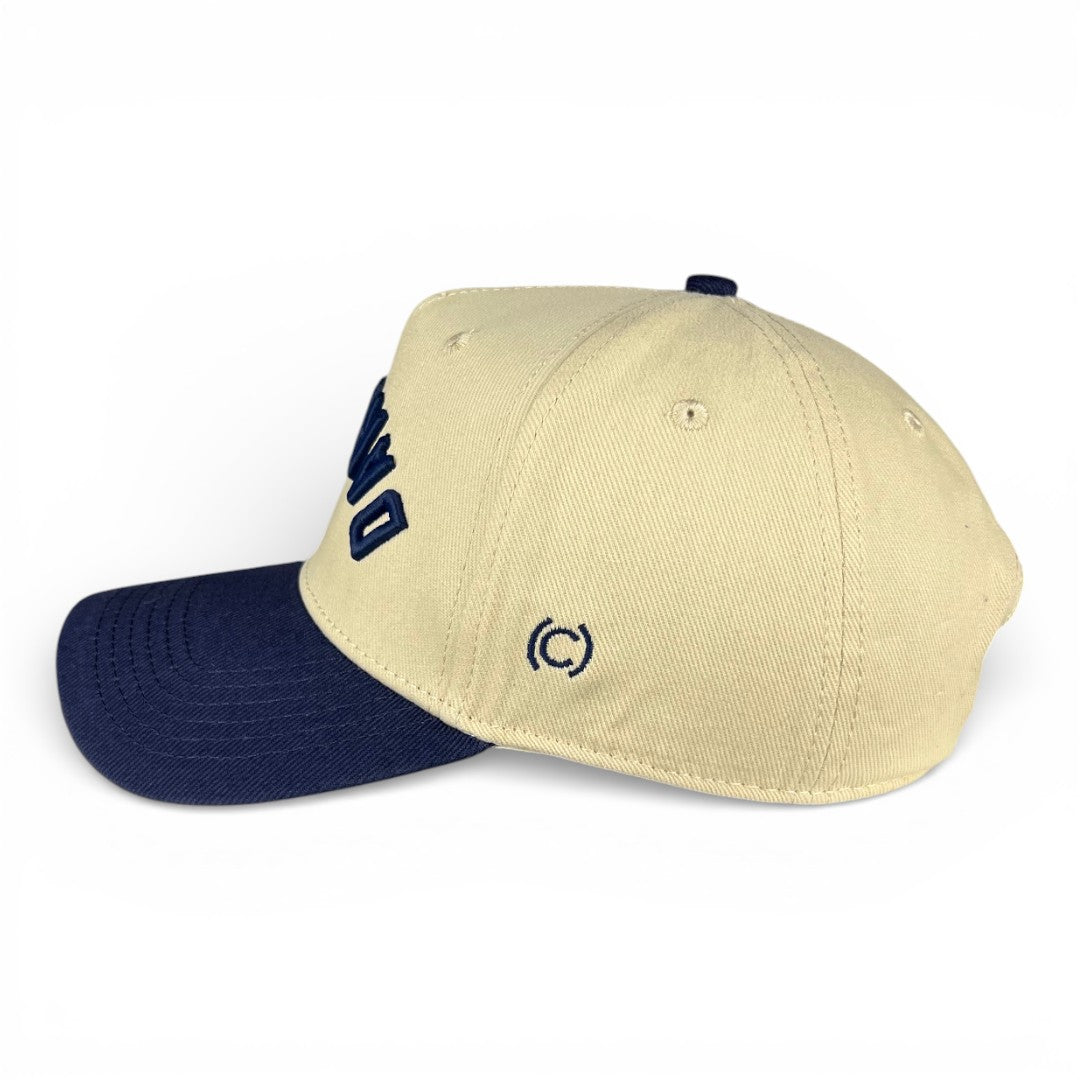 DARK SIDE - Upside Down Navy & Cream Two-Tone Hat