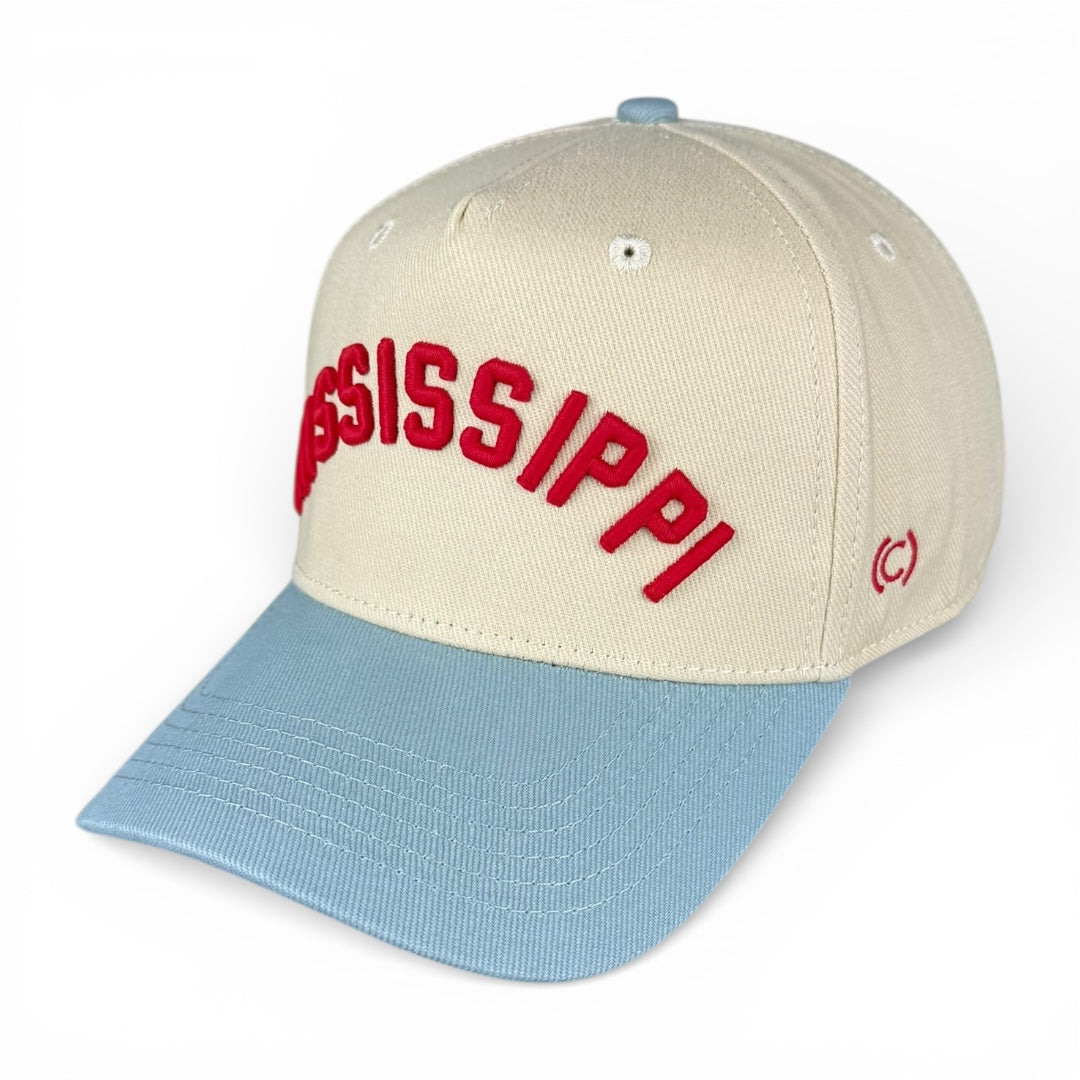 MISSISSIPPI - Rightside Up Dusty Blue and Cream Vintage Two Tone